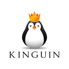 Kinguin Coupon Codes